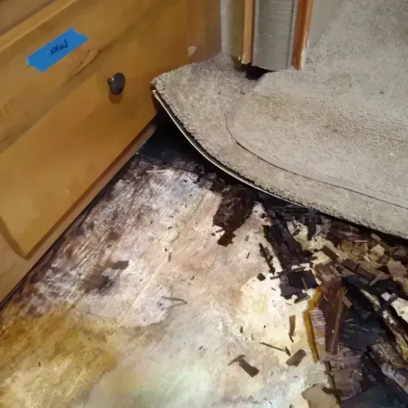 Wood Floor Water Damage in North Bethesda, MD